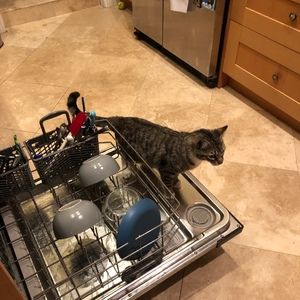 Meet your Posher, Joseph